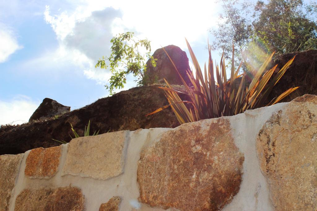 Villa Lugar Do Pego Tondela Exterior foto